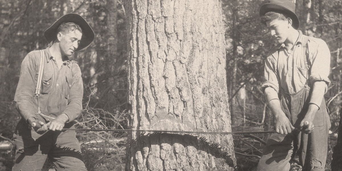 Vintage black and white picture: two woodcutters wear a suit with suspenders